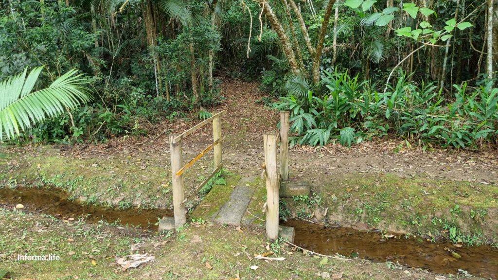 Entenda como será a concessão do Parque Augusto Ruschi na zona norte