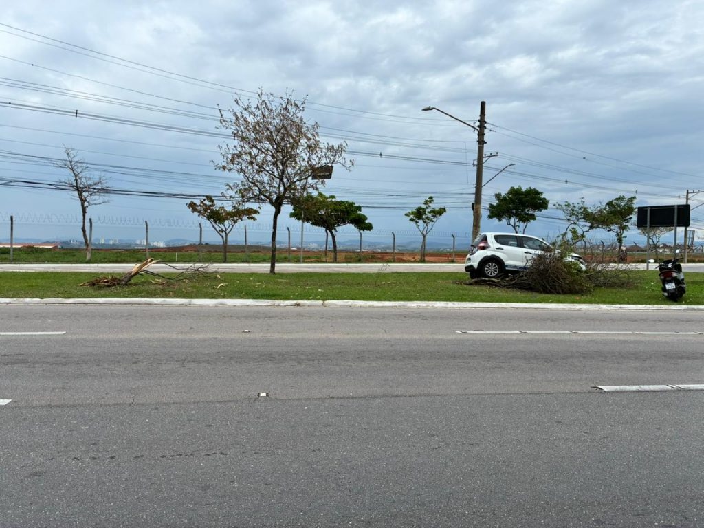 Motorista sofre apagão e bate em árvores na Cassiano Ricardo