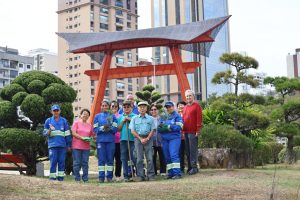 Cultura japonesa floresce em São José com plantio na Praça do Torii