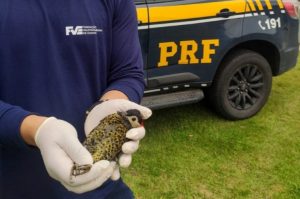 FLIM 2025 reunirá autores, música e cultura no Parque Vicentina Aranha em São José dos Campos