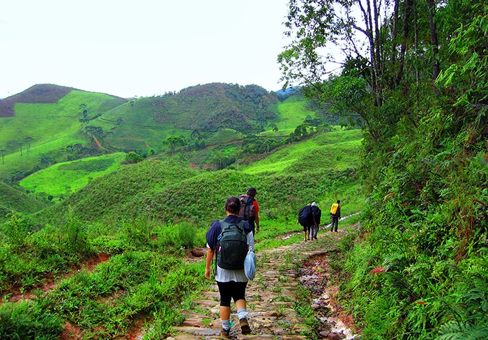 Trilha do Ouro (Parque Nacional da Serra da Bocaina)