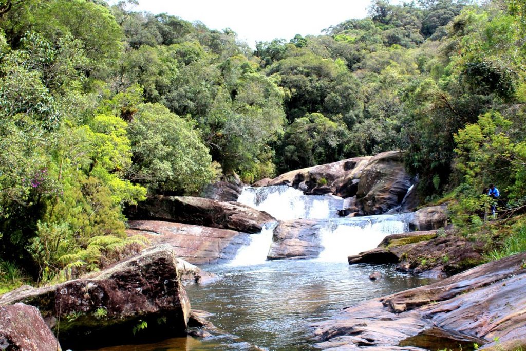 Parque Estadual da Serra do Mar – Núcleo Cunha (Cunha)