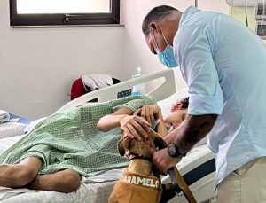 Cães resgatados levam afeto, esperança e apoio emocional a crianças em tratamento contra o câncer