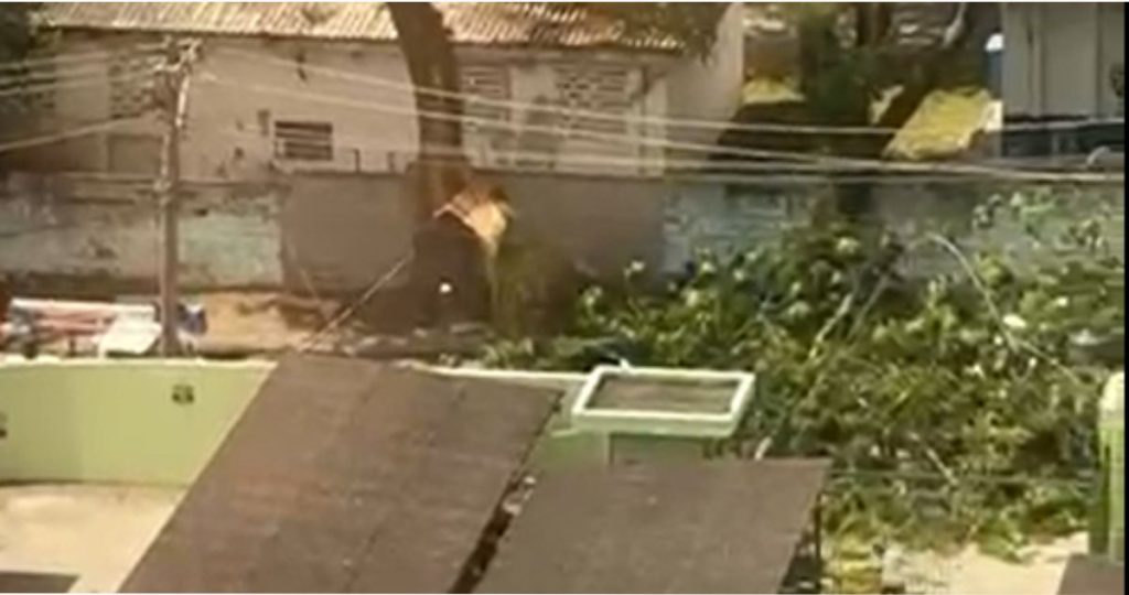 Galho cede após rajadas de vento e interdita rua movimentada no Parque Industrial