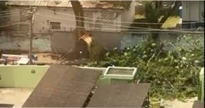Galho cede após rajadas de vento e interdita rua movimentada no Parque Industrial
