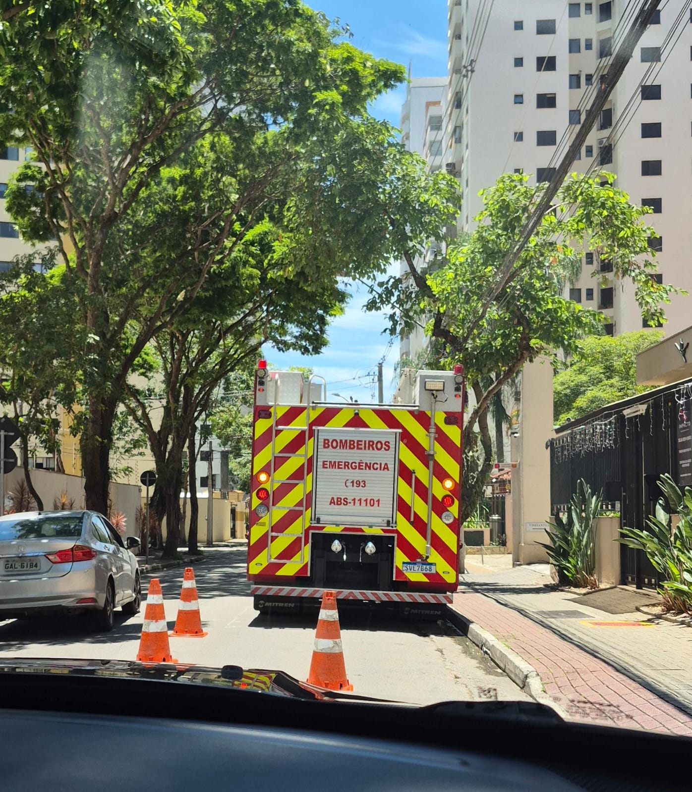 Gato é resgatado pelos bombeiros após ficar sete dias preso no duto do exaustor de churrasqueira em prédio do Jardim Aquarius