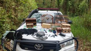 Ocorrência Ambiental