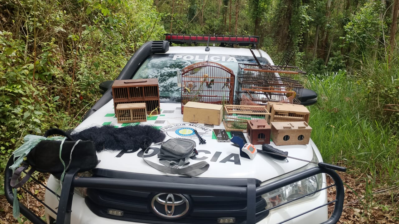 Ocorrência Ambiental