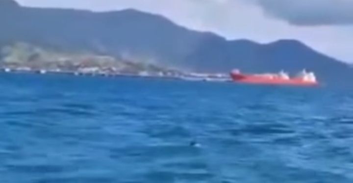 Cão mergulha no mar durante travessia da balsa e é salvo por tripulação!