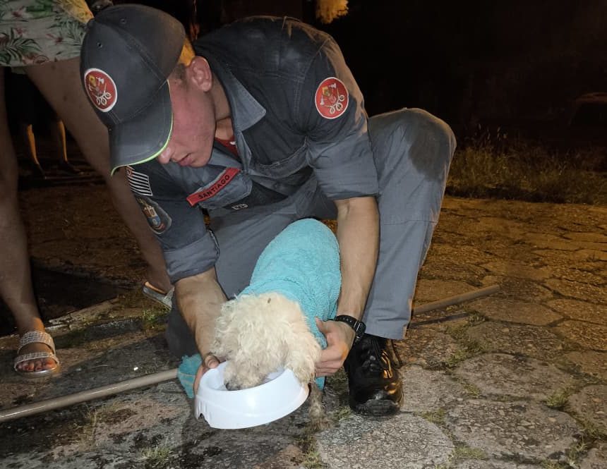 Bombeiros realizam resgate de cachorra idosa presa em tubulação de águas pluviais no bairro São Francisco, em São Sebastião.