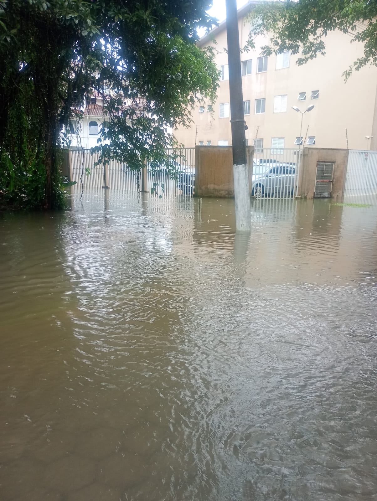 Chuvas em Ubatuba provocam alagamentos, vistorias da Defesa Civil e adiamento de evento; situação segue em monitoramento.