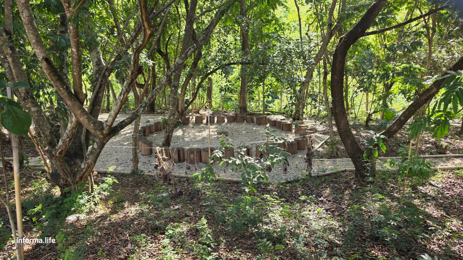Educação ambiental e parceria com escolas