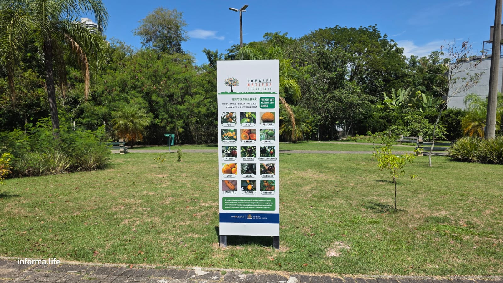 Lágrimas do Senhorinha, um córrego que chora pela revitalização!