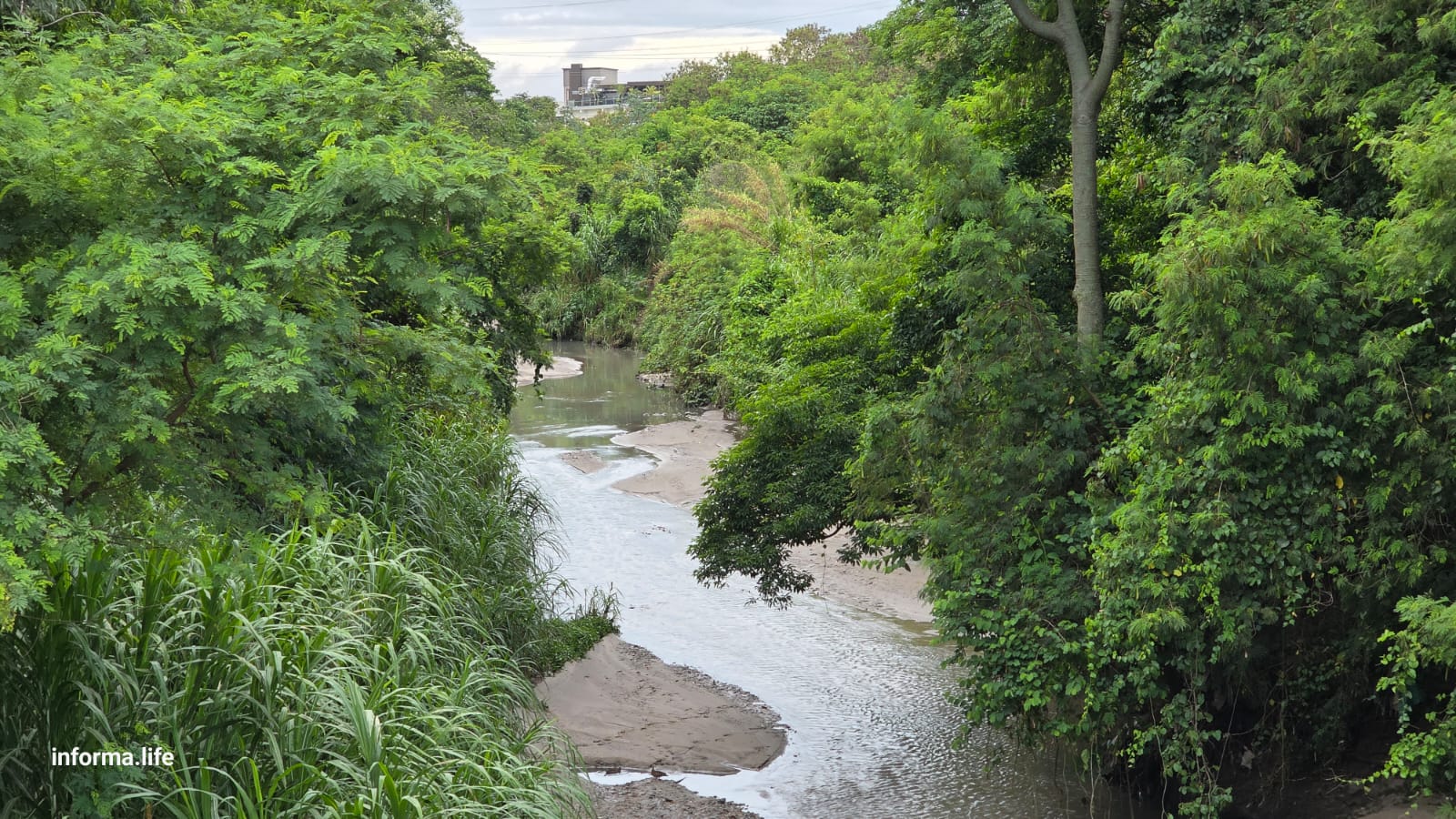 Lágrimas do Senhorinha, um córrego que chora pela revitalização!
