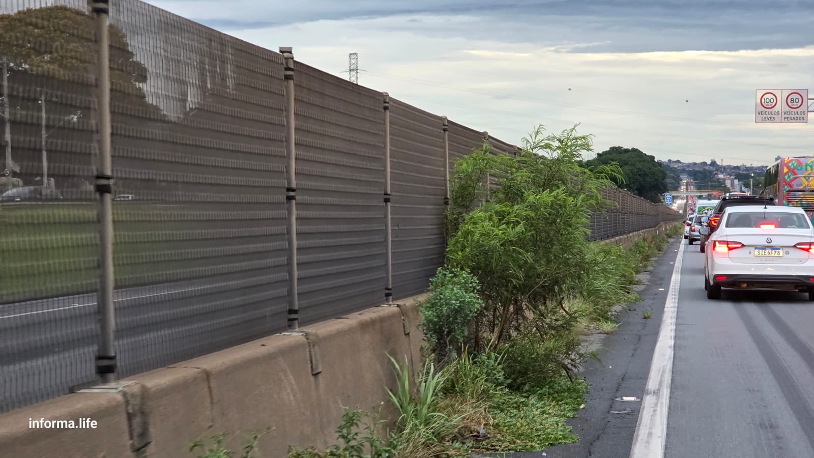 Via Dutra passa por intensificação de roçada após alertas de motoristas