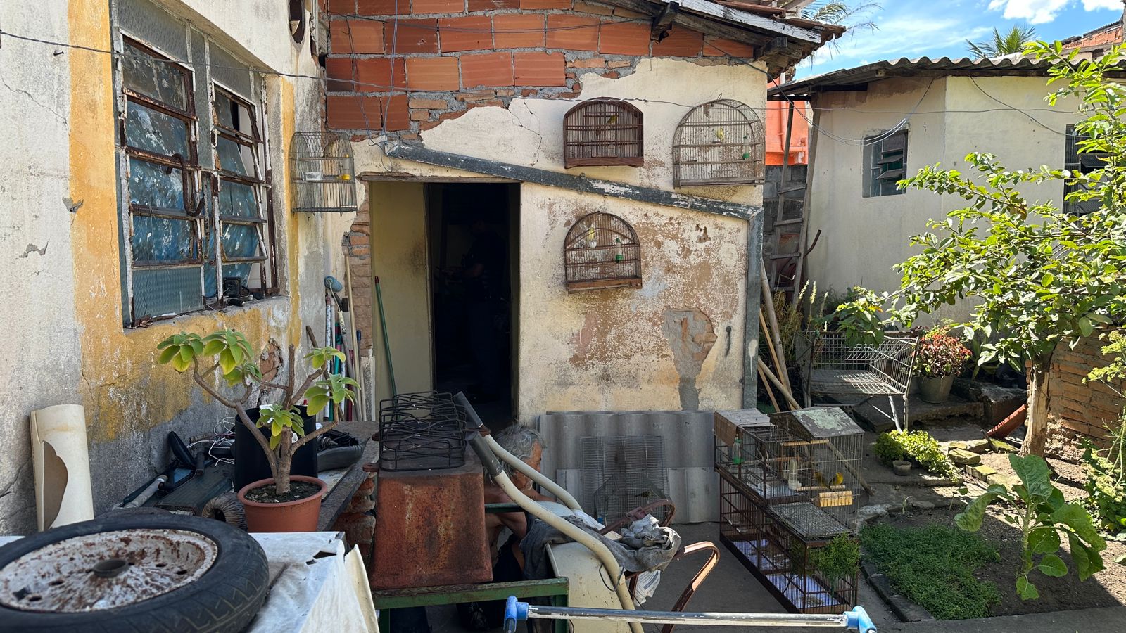 Ocorrência Ambiental