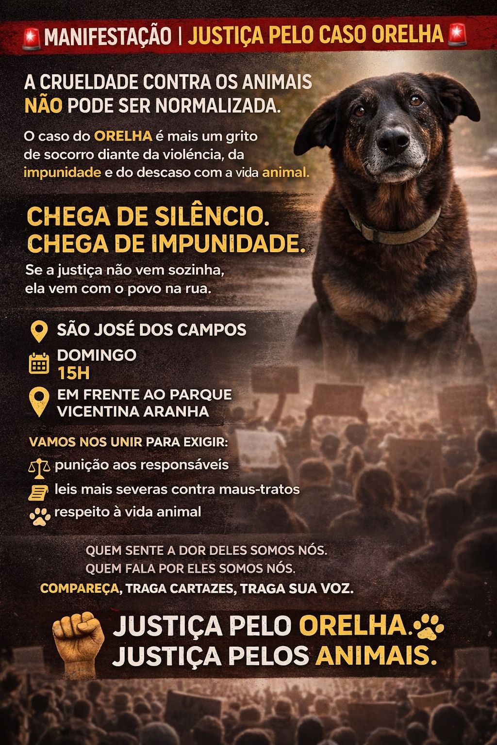 Manifestação Orelha