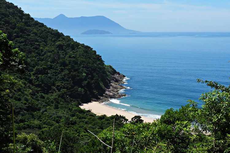 Trilha da Praia Brava de Boiçucanga, em São Sebastião, é reaberta após revitalização e melhorias estruturais