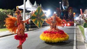 Carnaval de Jacareí: Estrela Cadente é a grande campeã!