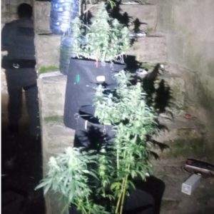 Mulher denuncia, e homem de 32 anos é preso por agressão e tráfico no Jardim da Granja!