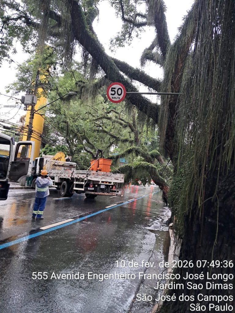 Queda de árvores em São José dos Campos provoca interdições e falta de energia