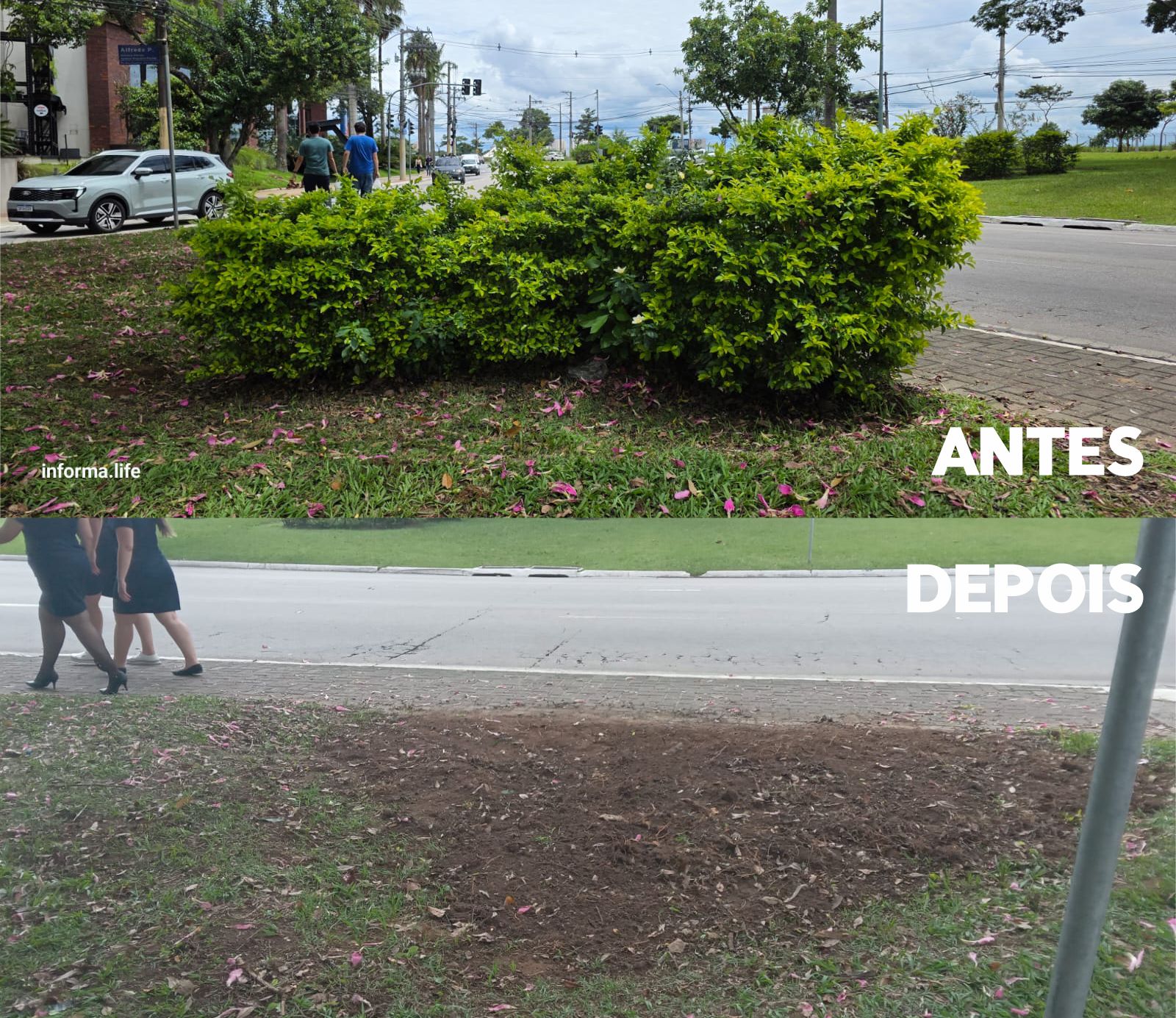 Aquarius Life: Vegetação impede visão de motoristas em cruzamento e aumenta risco de acidentes
