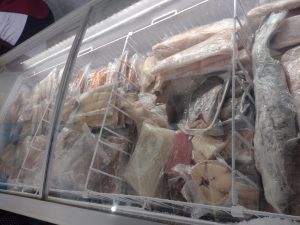 Fiscalização ocorreu durante a Operação Piracema no bairro Vila Canevari, em Cruzeiro.