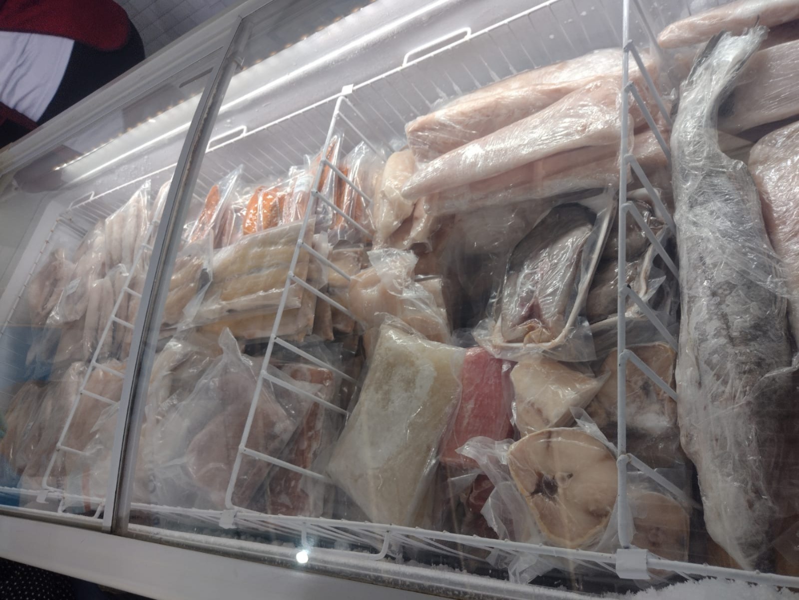 Fiscalização ocorreu durante a Operação Piracema no bairro Vila Canevari, em Cruzeiro.