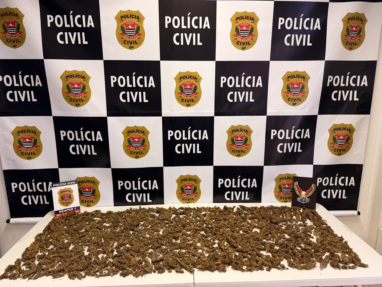 Polícia Civil apreendeu 1,9 kg de maconha durante ação contra tráfico na Vila Leonídia.