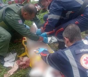 Morre idosa de 69 anos atacada por dois pitbulls em São José dos Campos