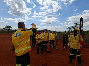 Estado abre inscrições para 243 vagas de brigadistas com salários de até R$ 4 mil