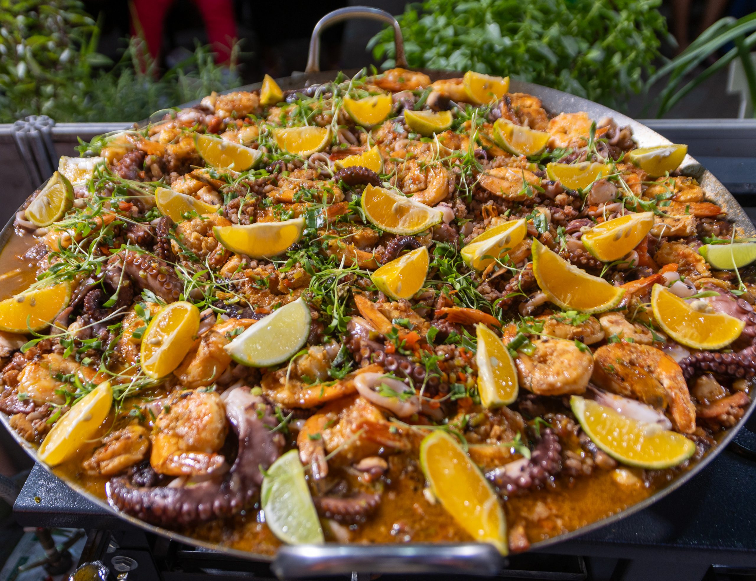Festival Gastronômico