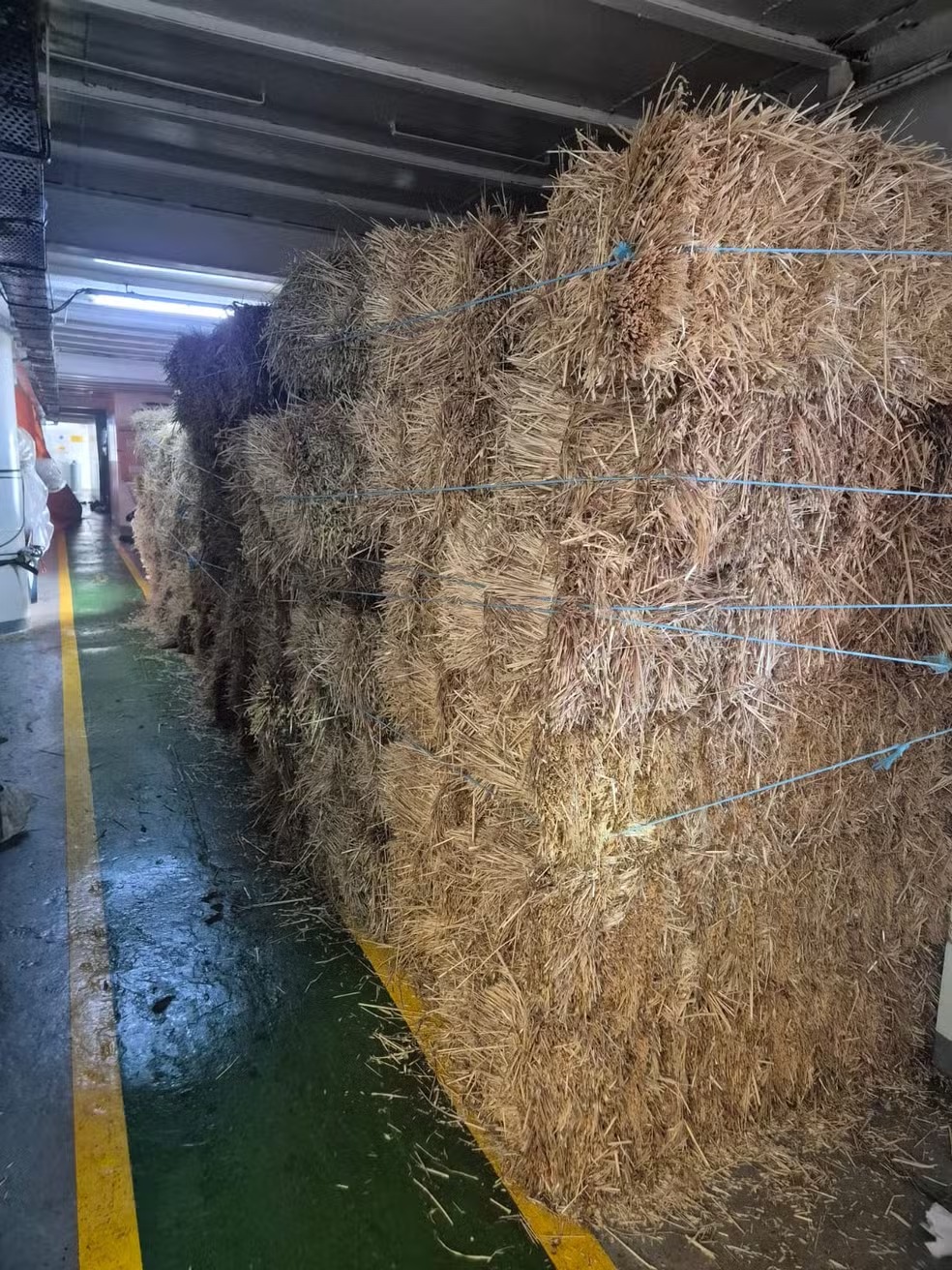 Incêndio navio no Porto de São Sebastião/ Foto: CB