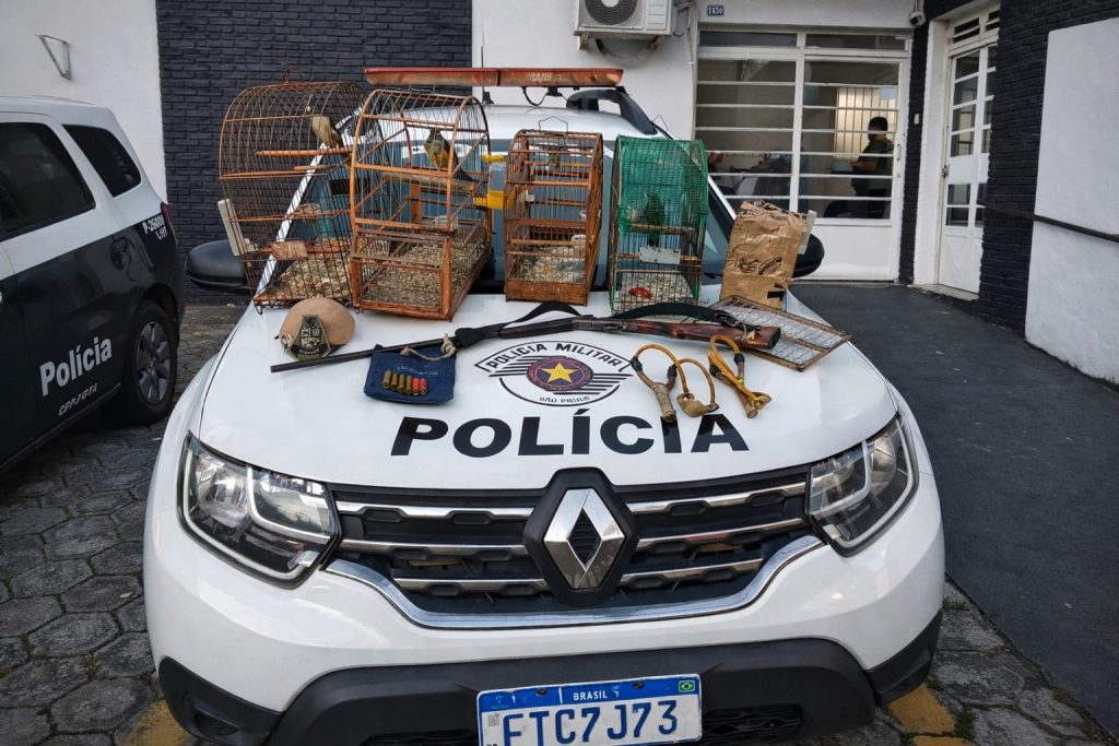 Aves silvestres foram resgatadas de cativeiro irregular em Guaratinguetá