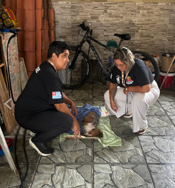 Cão vítima de maus-tratos é resgatado em Ubatuba após denúncia e levado para atendimento veterinário