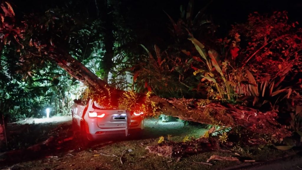 Queda de árvore atinge veículo em São Sebastião e mobiliza Bombeiros no bairro Baleia