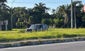 Mato alto na Rio-Santos leva prefeitura de Caraguá a notificar DER