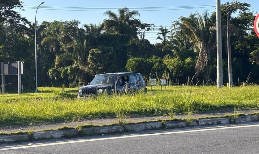 Mato alto na Rio-Santos leva prefeitura de Caraguá a notificar DER