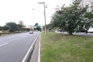 Corrida de rua provoca interdições em avenidas importantes de São José dos Campos no domingo