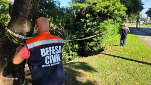 Erosões no Córrego Senhorinha