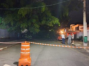 Galho de árvore cai sobre carros e bloqueia rua na região do Jardim Esplanada