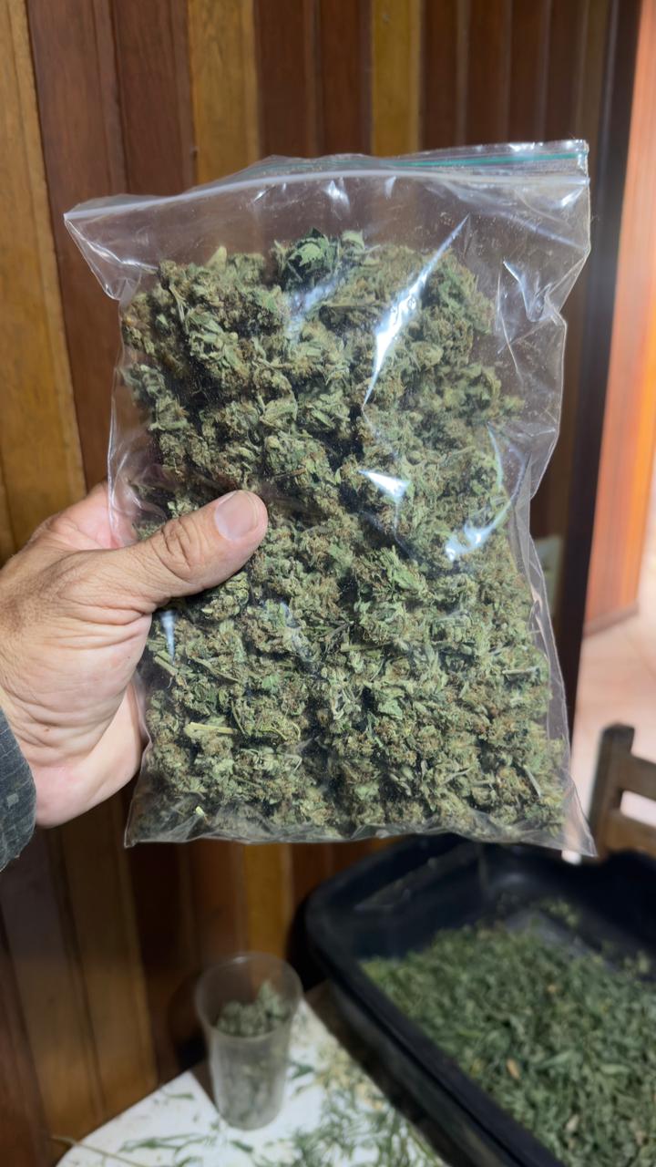 Estrutura clandestina para cultivo de maconha foi encontrada em área rural de Paraibuna