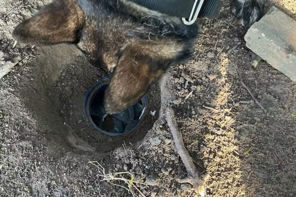 Operação policial integrada mobilizou equipes em três cidades do Vale