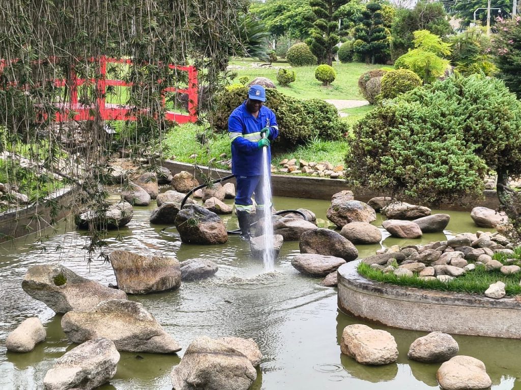 Lago de carpas do Jardim Japonês passa por limpeza