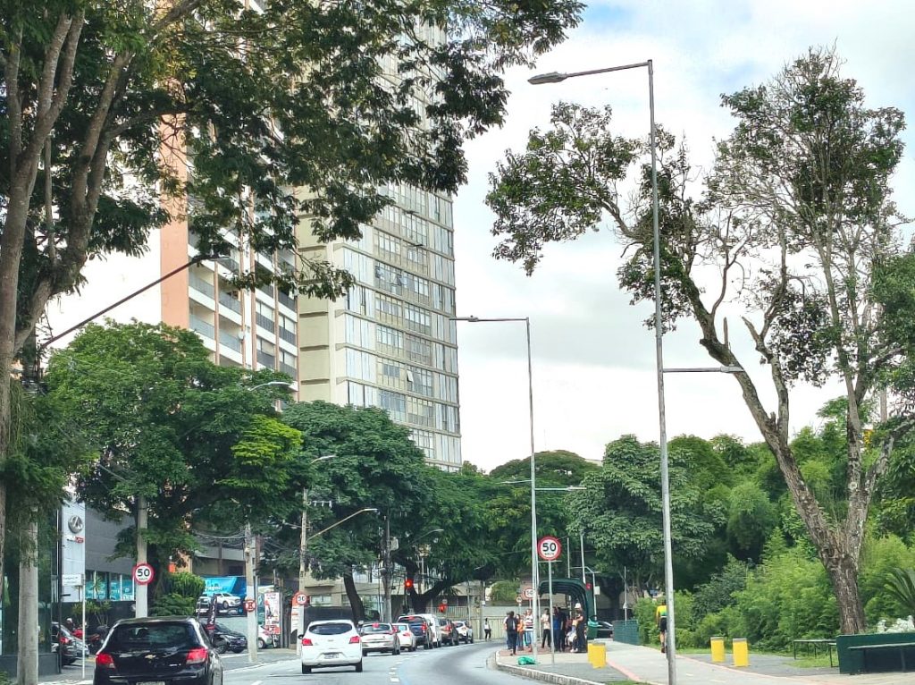 Interdição na avenida Madre Thereza para serviços da Sabesp no domingo