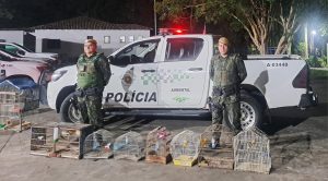 Polícia Ambiental resgata 10 aves silvestres mantidas em cativeiro em São José dos Campos