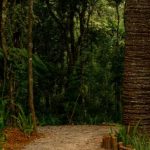 Parque de dinossauros em Campos do Jordão abre 100 vagas de emprego