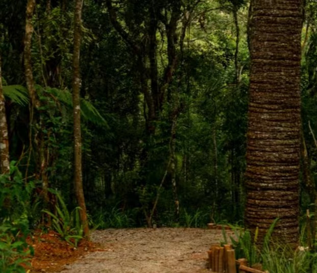 Parque de dinossauros em Campos do Jordão abre 100 vagas de emprego