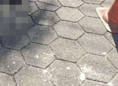 Polícia Civil apreende veículo em investigação sobre cachorro que morreu após ser arrastado em Caraguatatuba