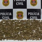 Polícia Civil prende traficante e apreende 1 kg de maconha e ecstasy em operação contra o tráfico no Residencial 31 de Março